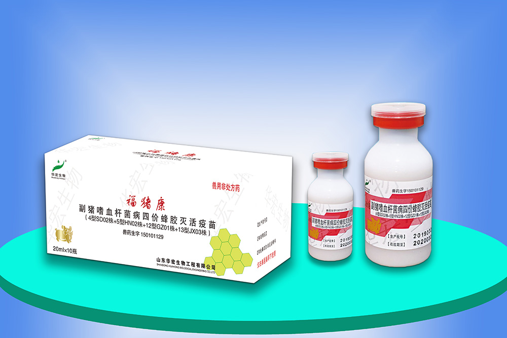 副豬嗜血桿菌病四價(jià)蜂膠滅活疫苗