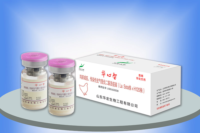 雞新城疫、傳染性支氣管炎二聯(lián)活疫苗（H120）