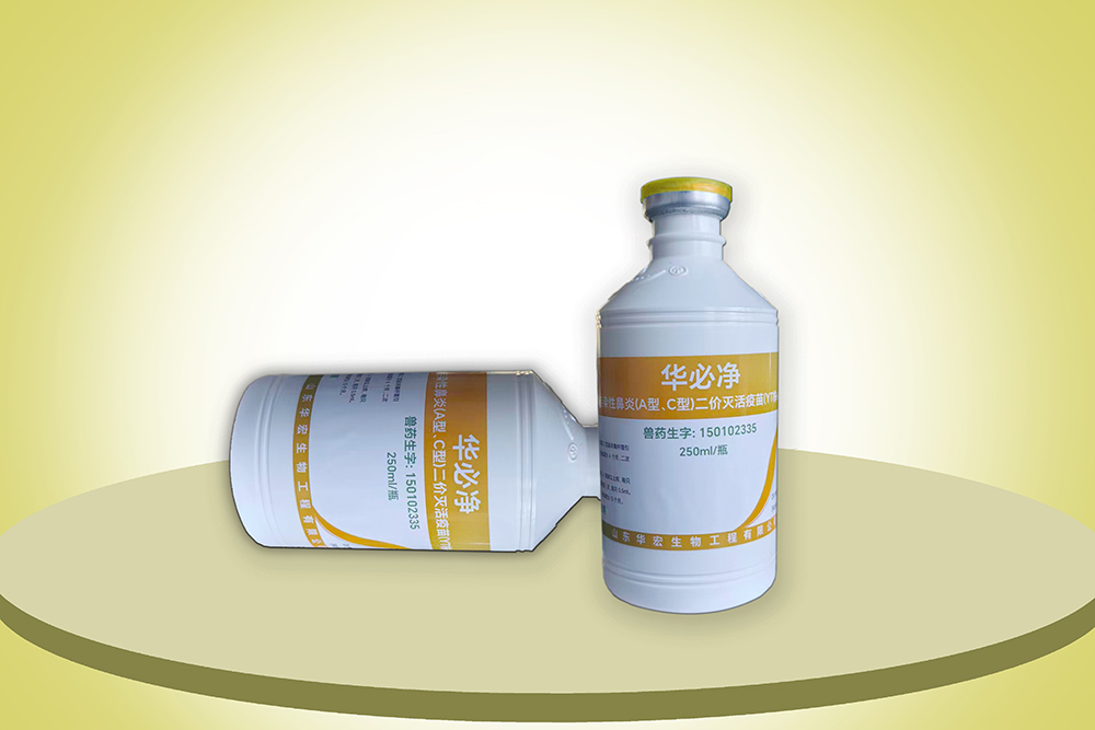 雞傳染性鼻炎（A型、C型）二價(jià)滅活疫苗（YT株+JN株）